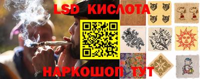 PSILOCYBIN Тверь
